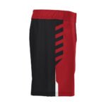 Wrestling Fight Shorts - Image 3