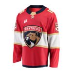 Ice Hockey Practice Jersey